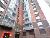  71590771:  2    ,   431