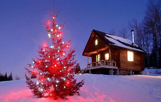 ������ ���� �� ����� ���